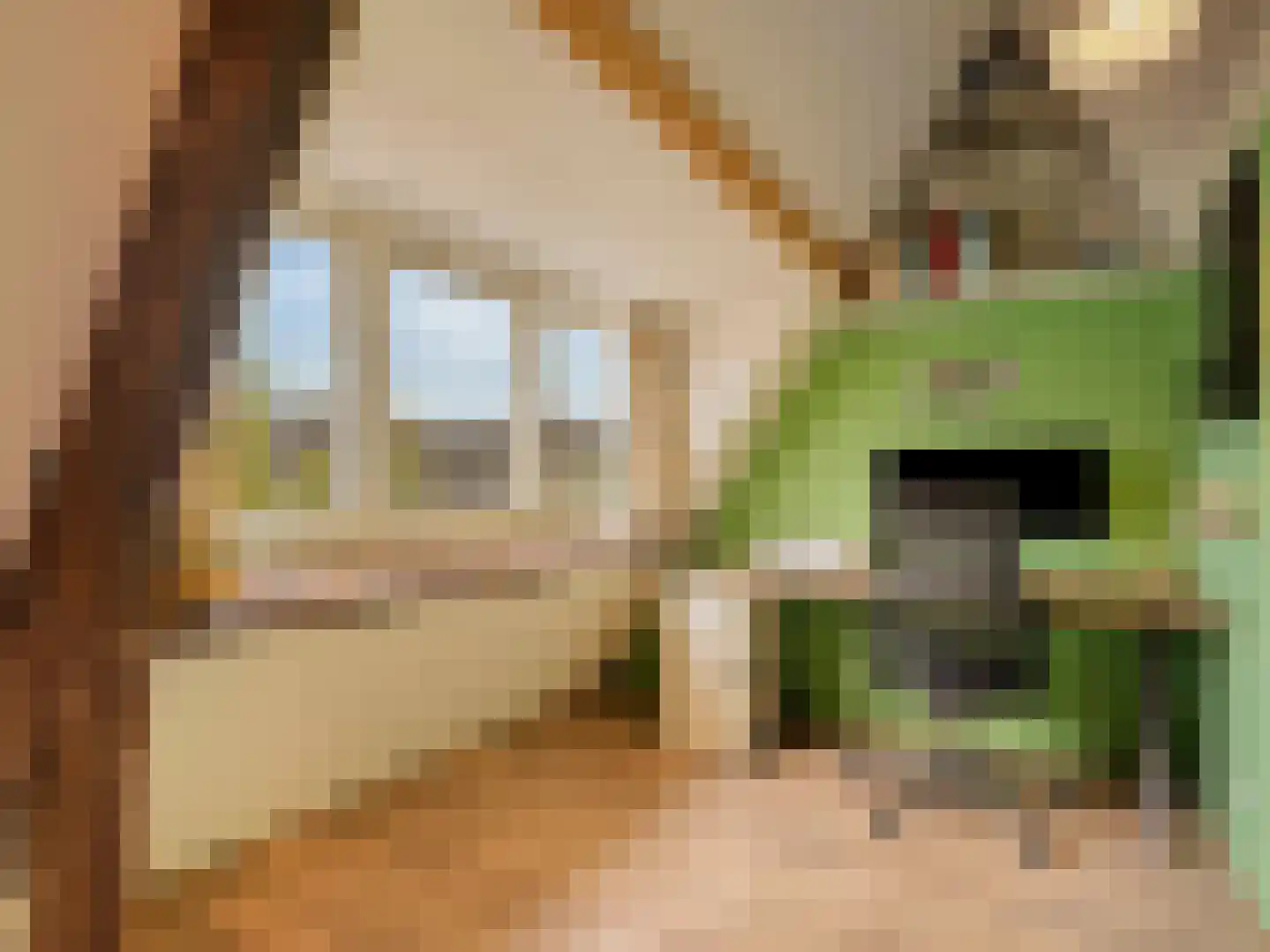 Hasebroekstraat 7 Utrecht thumbnail 40