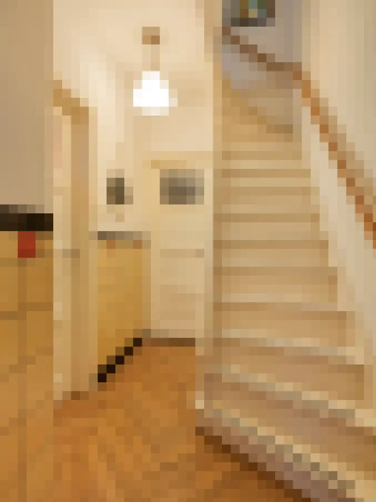 Hasebroekstraat 7 Utrecht thumbnail 8