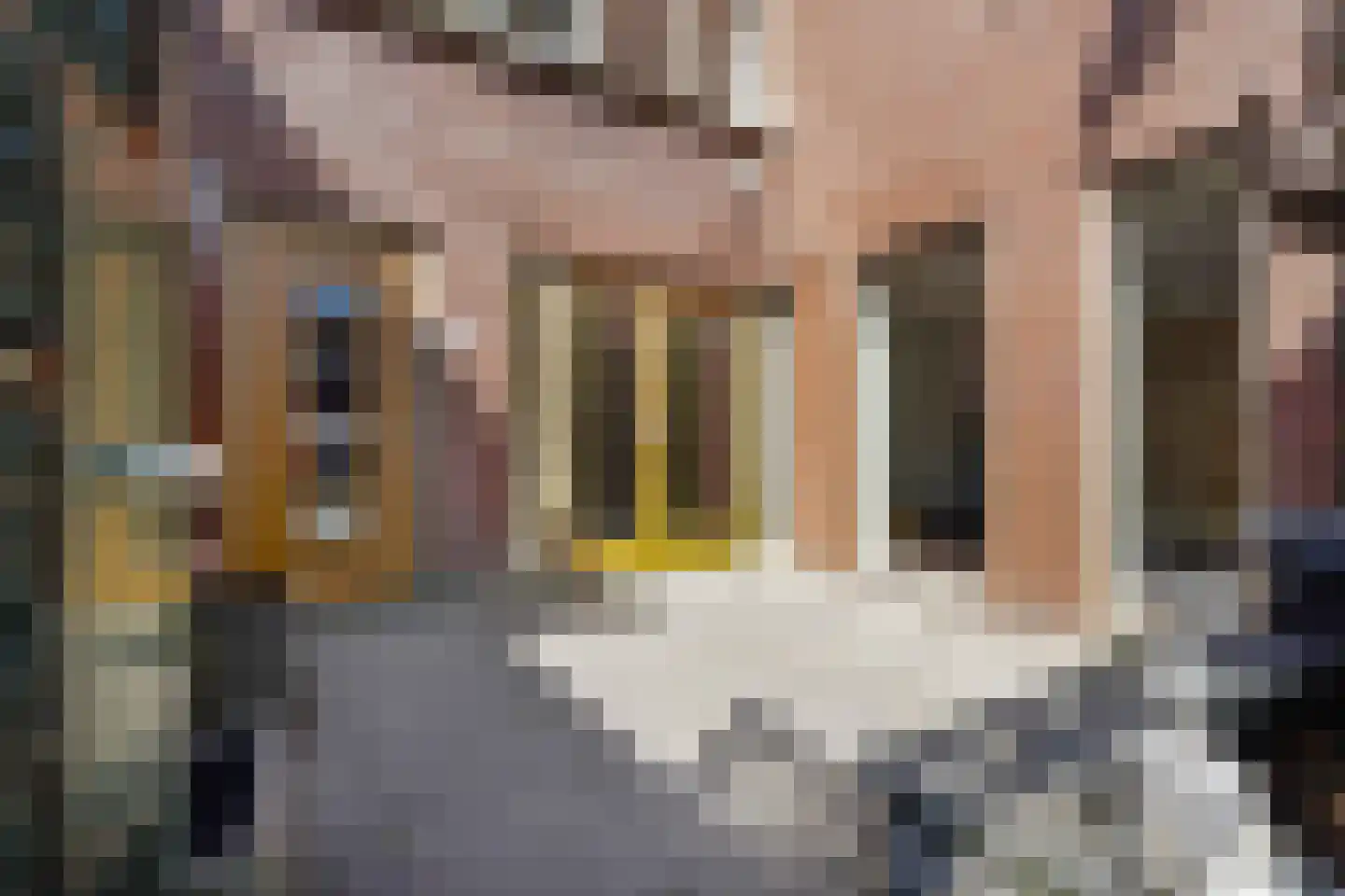 Hasebroekstraat 73 Den Haag thumbnail 25