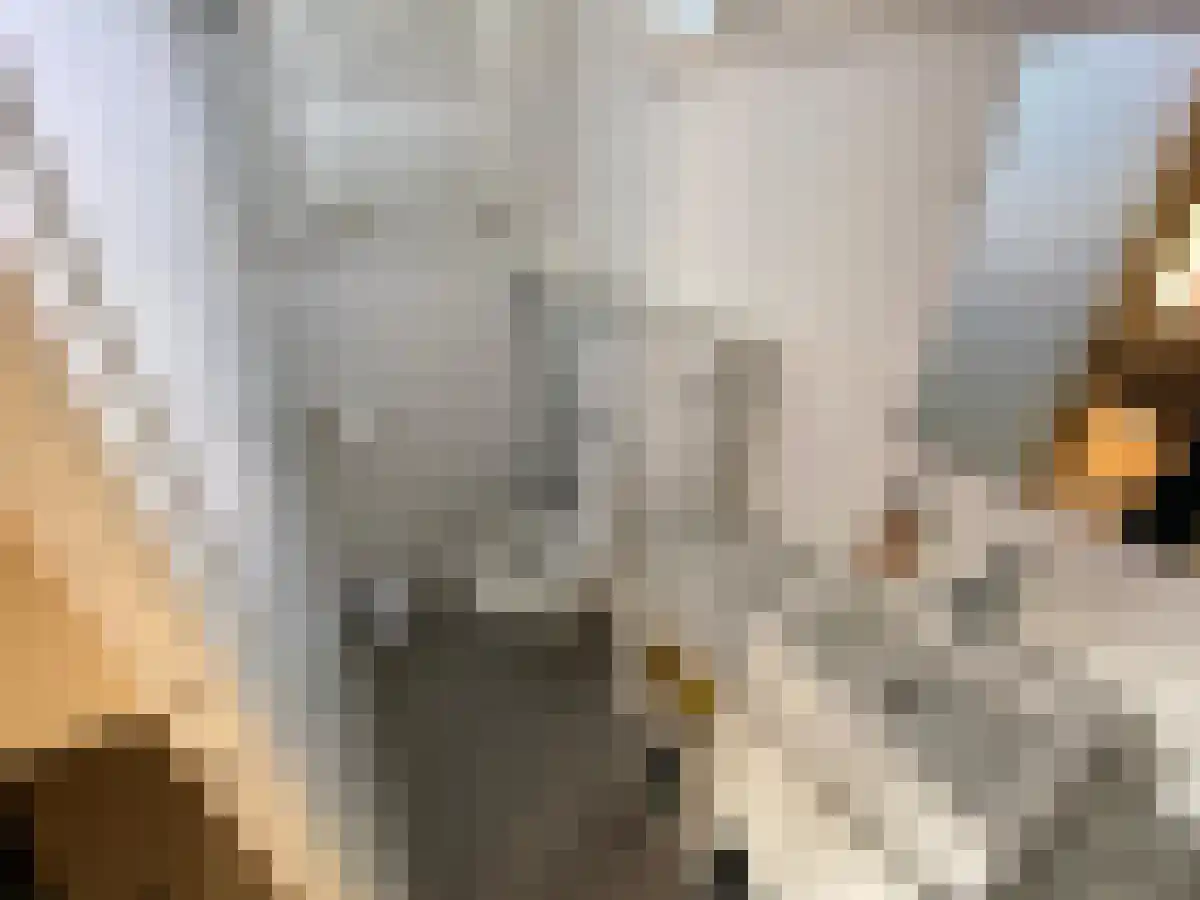 Hasebroekstraat 87 Amsterdam thumbnail 4