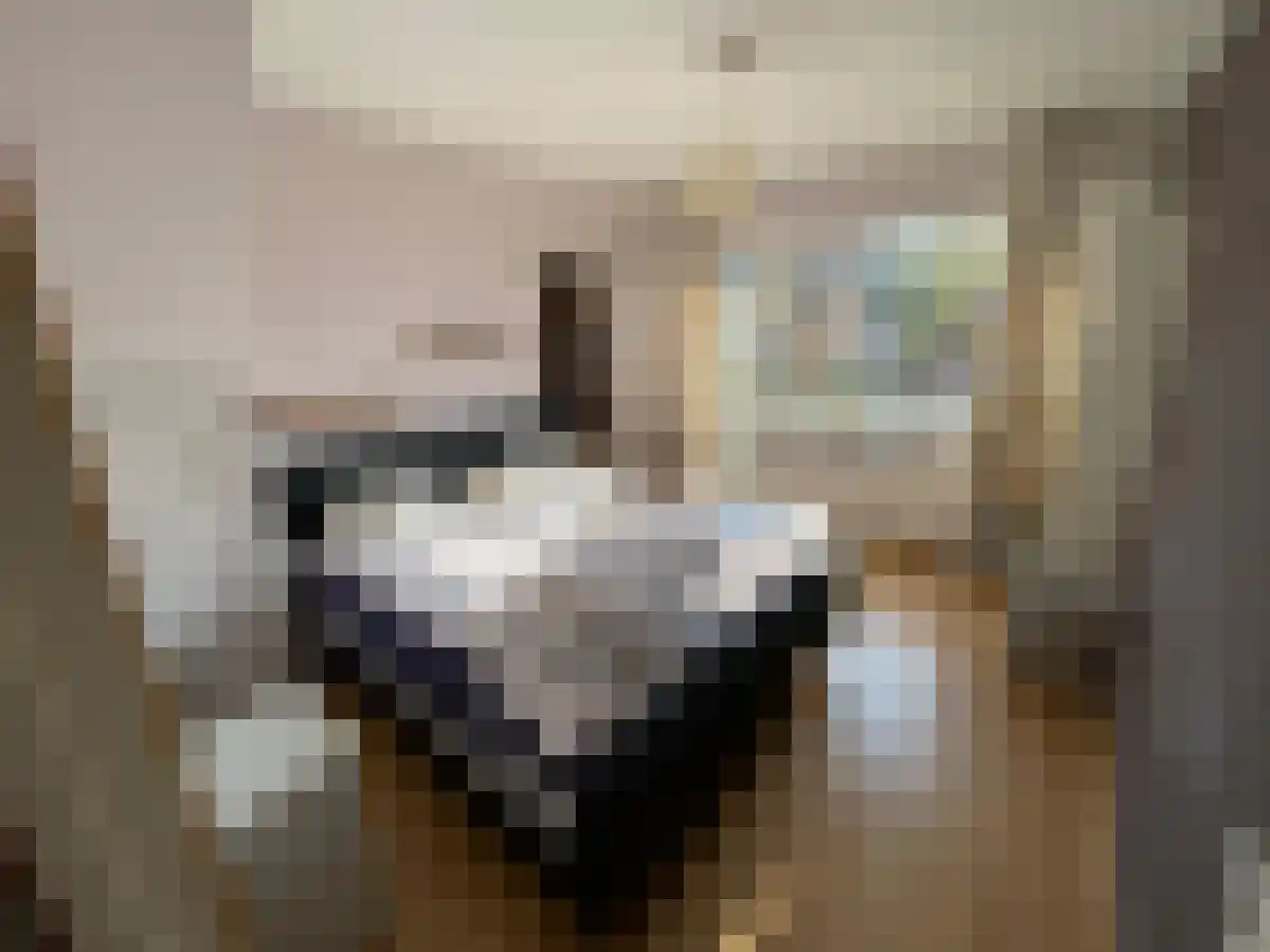 Hasebroekstraat 87 Amsterdam thumbnail 6
