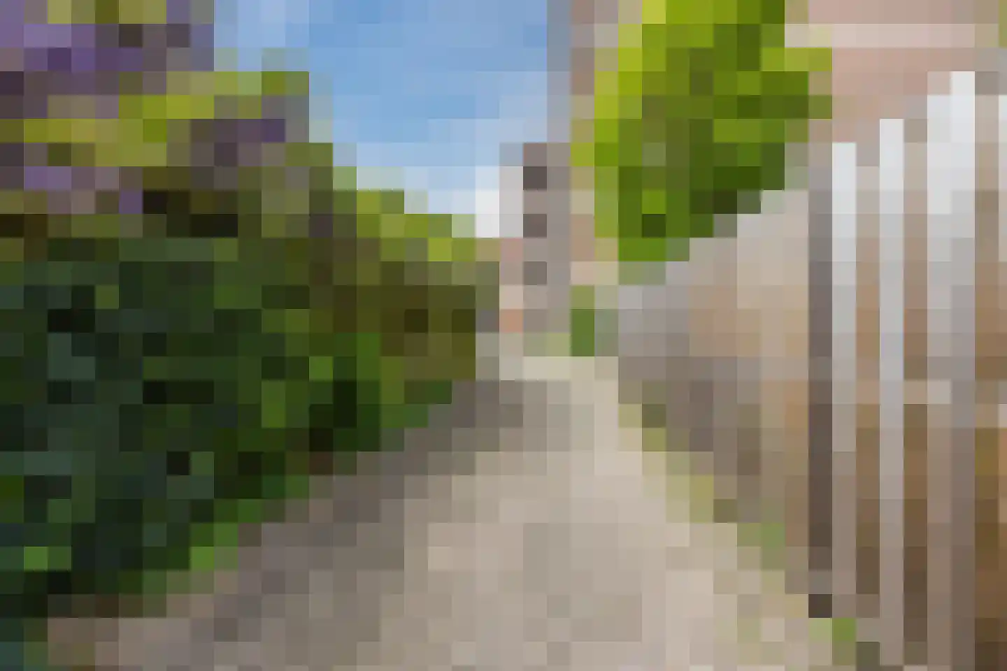Hasebroekstraat 9 Leiden thumbnail 31