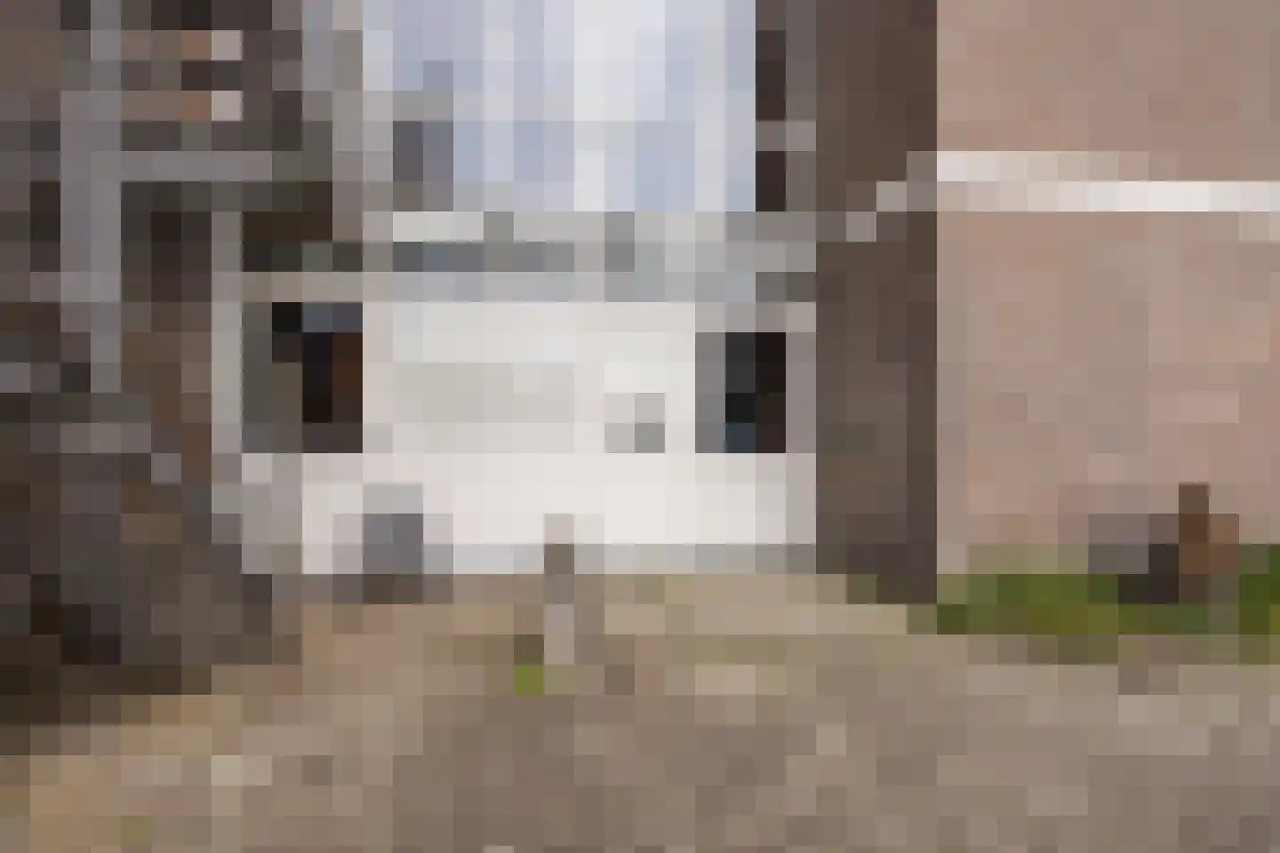 Hasebroekstraat 9 Leiden thumbnail 6