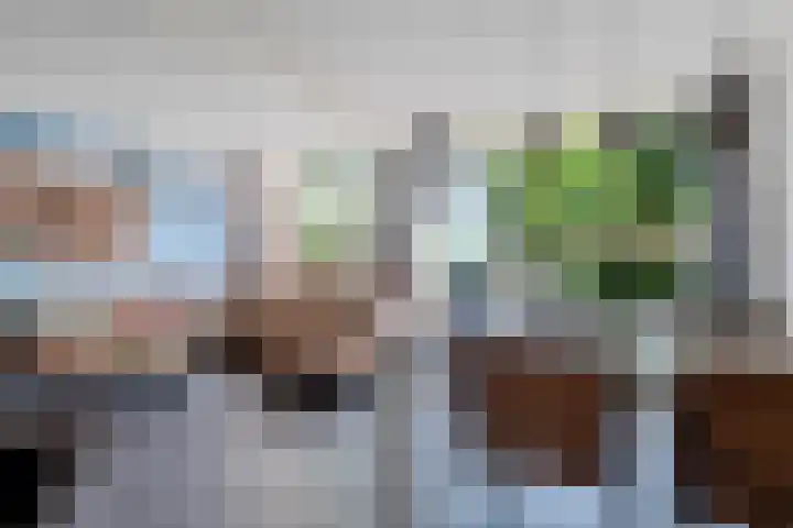 Haselackers 41 Emmen thumbnail 10