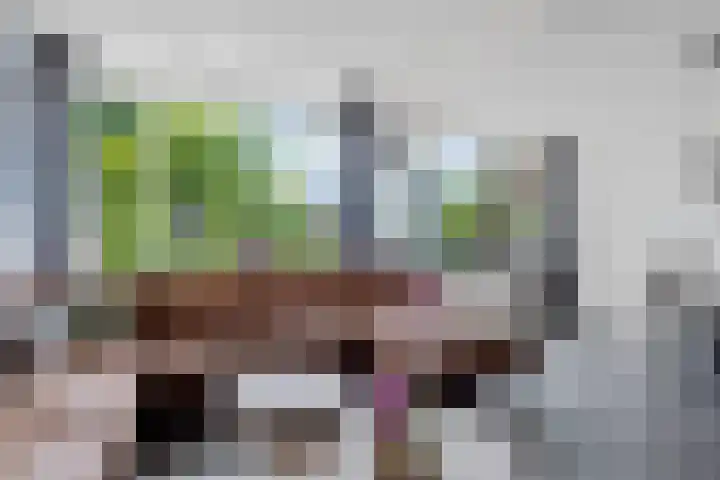 Haselackers 41 Emmen thumbnail 11