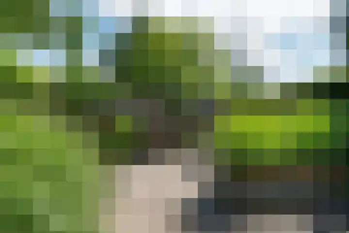 Haselackers 41 Emmen thumbnail 31