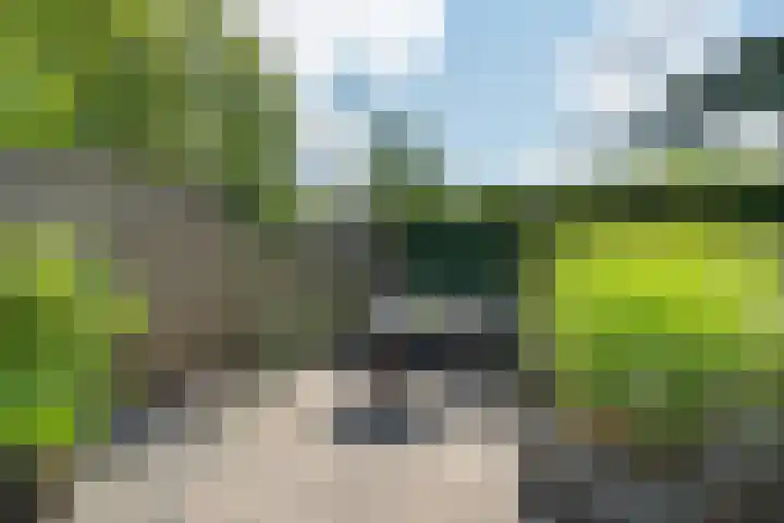 Haselackers 41 Emmen thumbnail 32