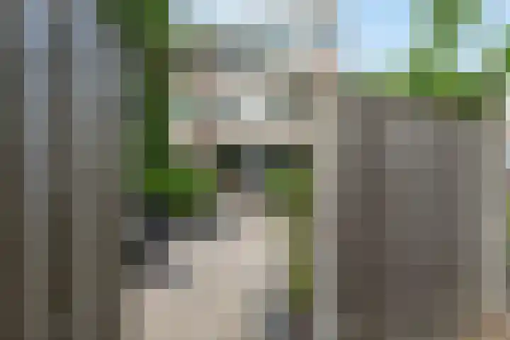 Haselackers 41 Emmen thumbnail 35