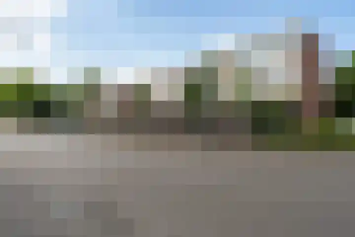 Haselackers 41 Emmen thumbnail 36