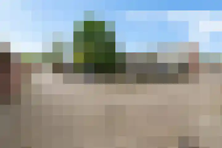 Haselackers 41 Emmen thumbnail 4