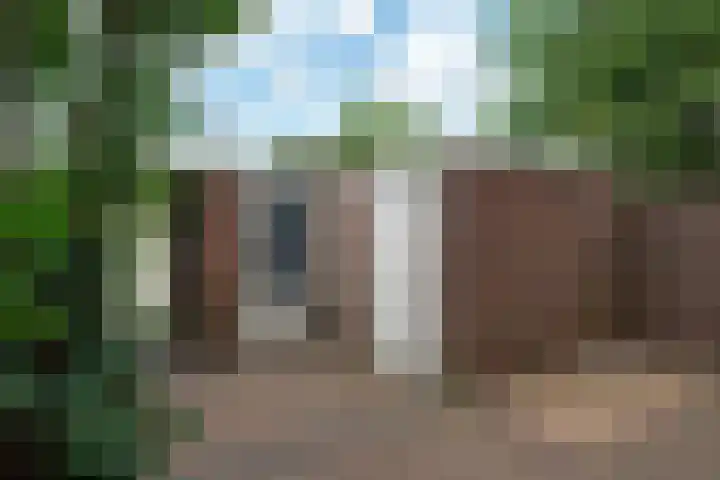 Haselackers 41 Emmen thumbnail 6