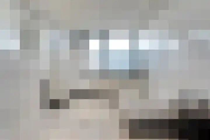 Haselackers 51 Emmen thumbnail 33
