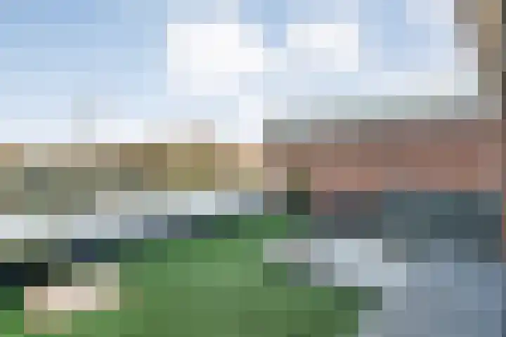 Haselackers 51 Emmen thumbnail 42