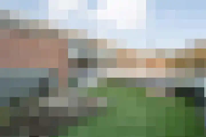 Haselackers 51 Emmen thumbnail 43