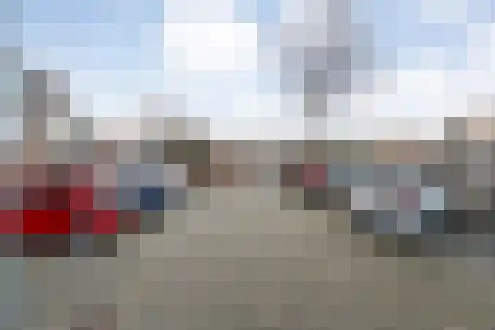 Haselackers 51 Emmen thumbnail 50