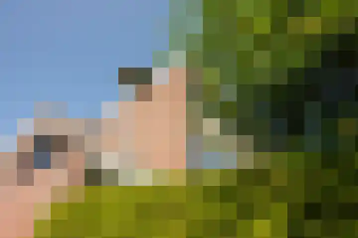 Haselackers 53 Emmen thumbnail 33