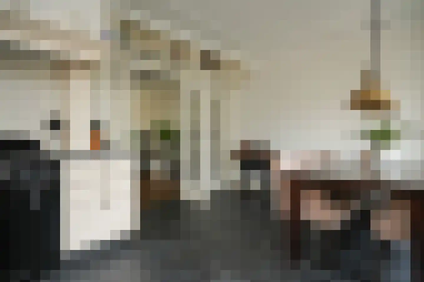 Haselcamp 17 Horssen thumbnail 12