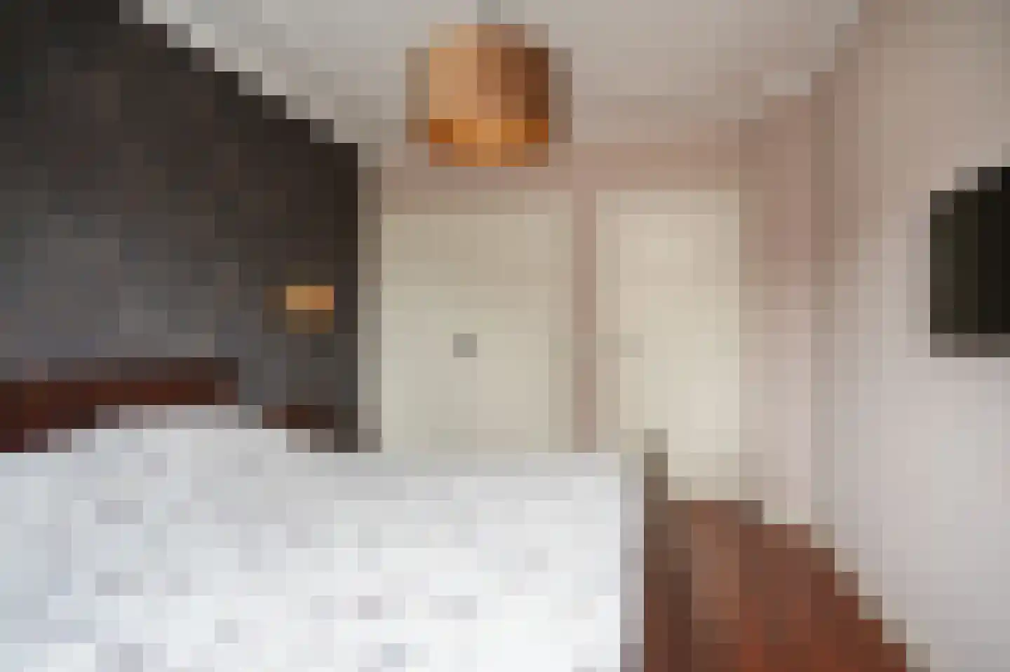 Haselcamp 17 Horssen thumbnail 23