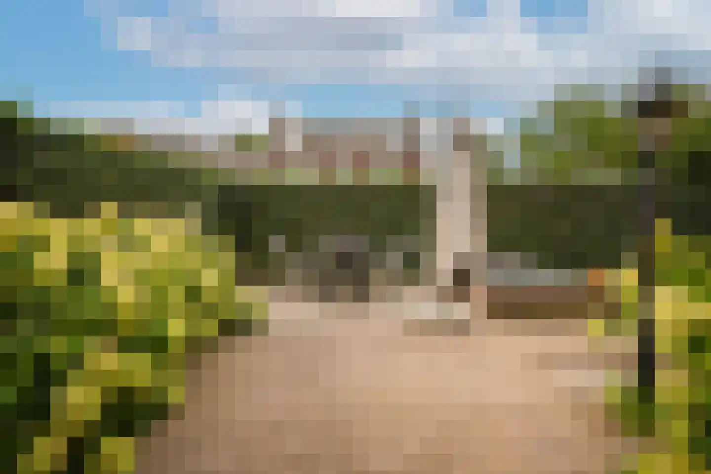 Haselcamp 17 Horssen thumbnail 37