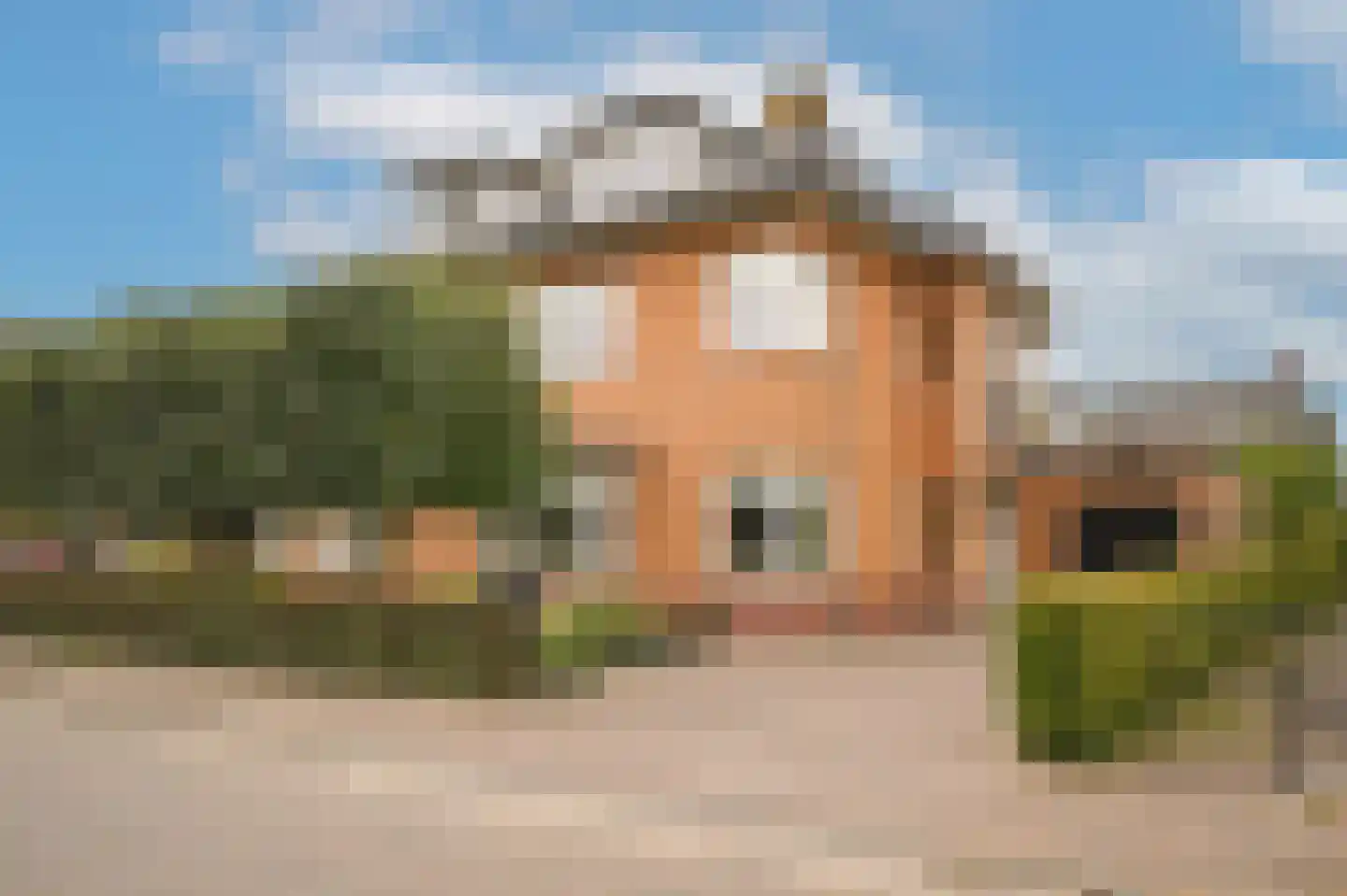 Haselcamp 17 Horssen thumbnail 43