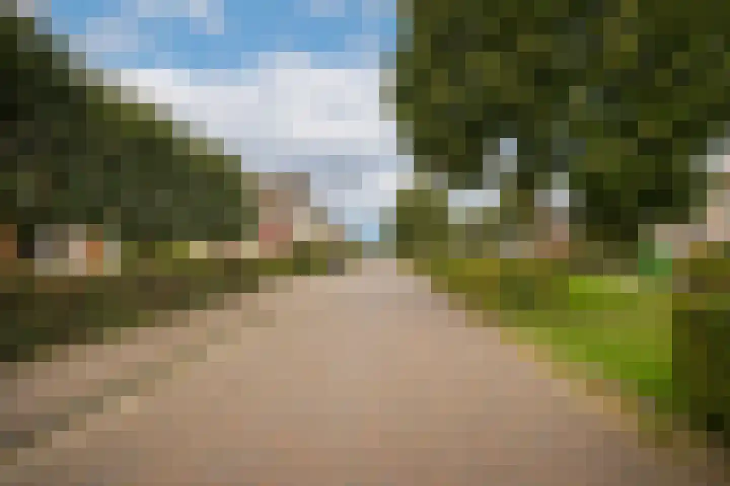 Haselcamp 17 Horssen thumbnail 45