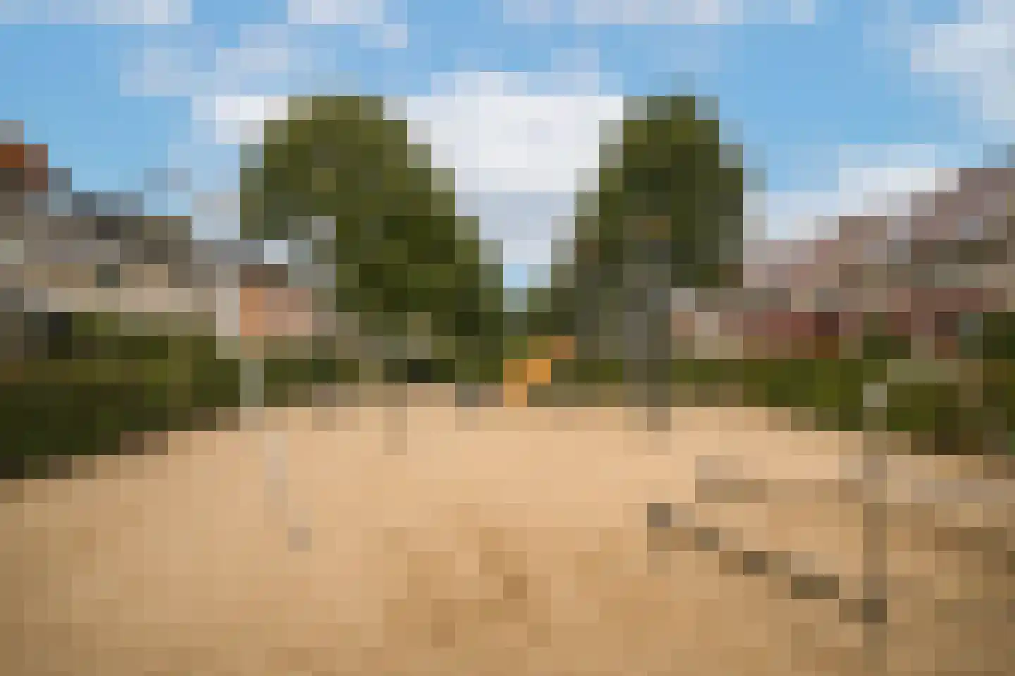 Haselcamp 17 Horssen thumbnail 46