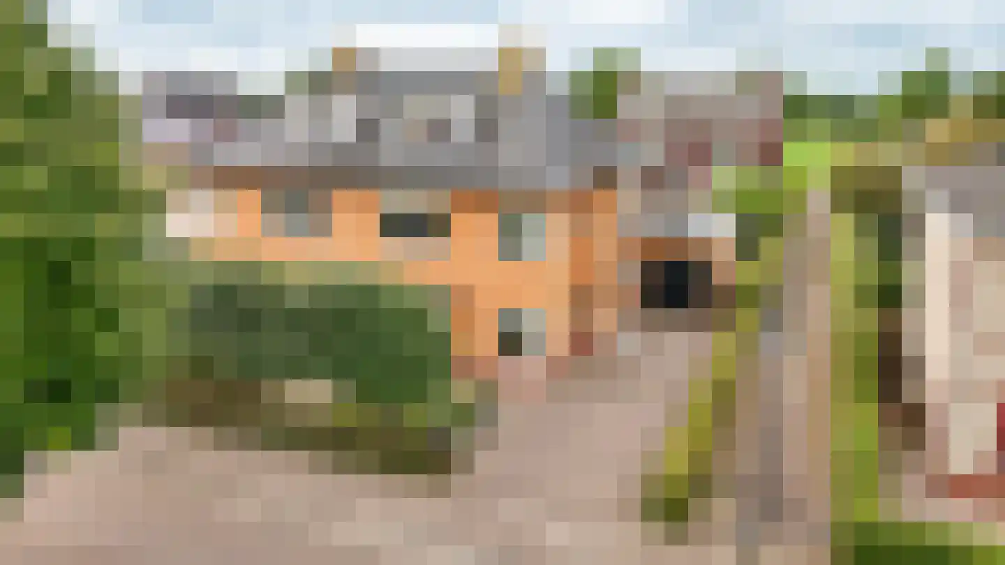 Haselcamp 17 Horssen thumbnail 47