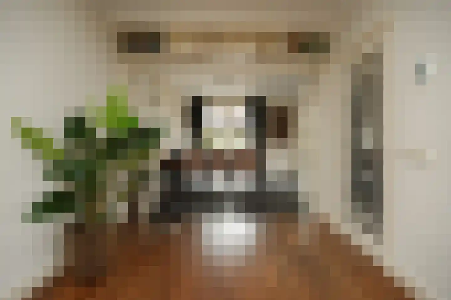 Haselcamp 17 Horssen thumbnail 6