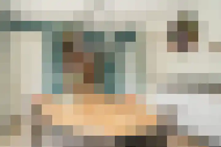 Haselcamp 33 Horssen thumbnail 13