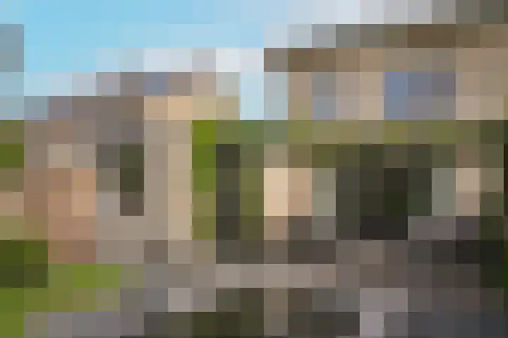Haselcamp 33 Horssen thumbnail 30