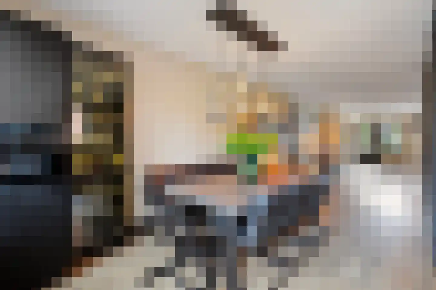 Haskelant 14 Zuid-Scharwoude thumbnail 11
