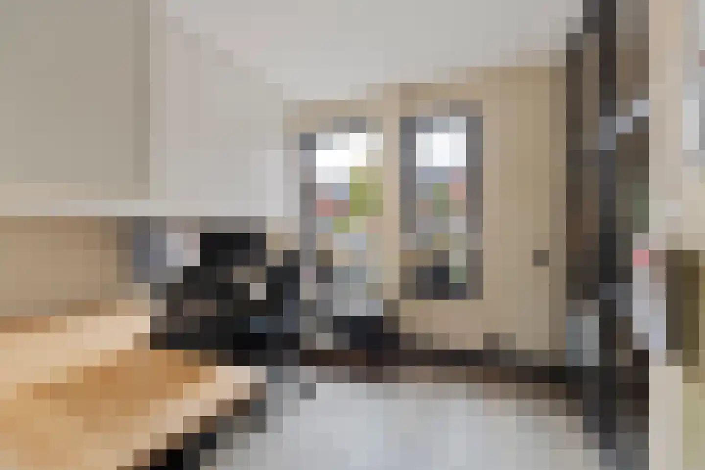 Haskelant 14 Zuid-Scharwoude thumbnail 17