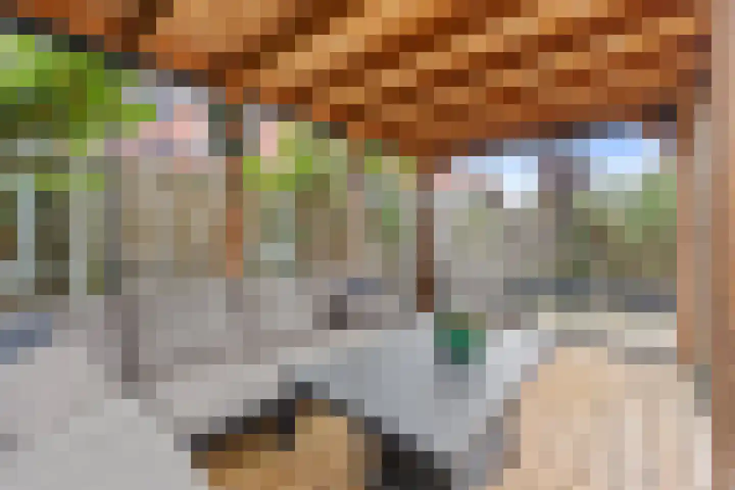 Haskelant 14 Zuid-Scharwoude thumbnail 37