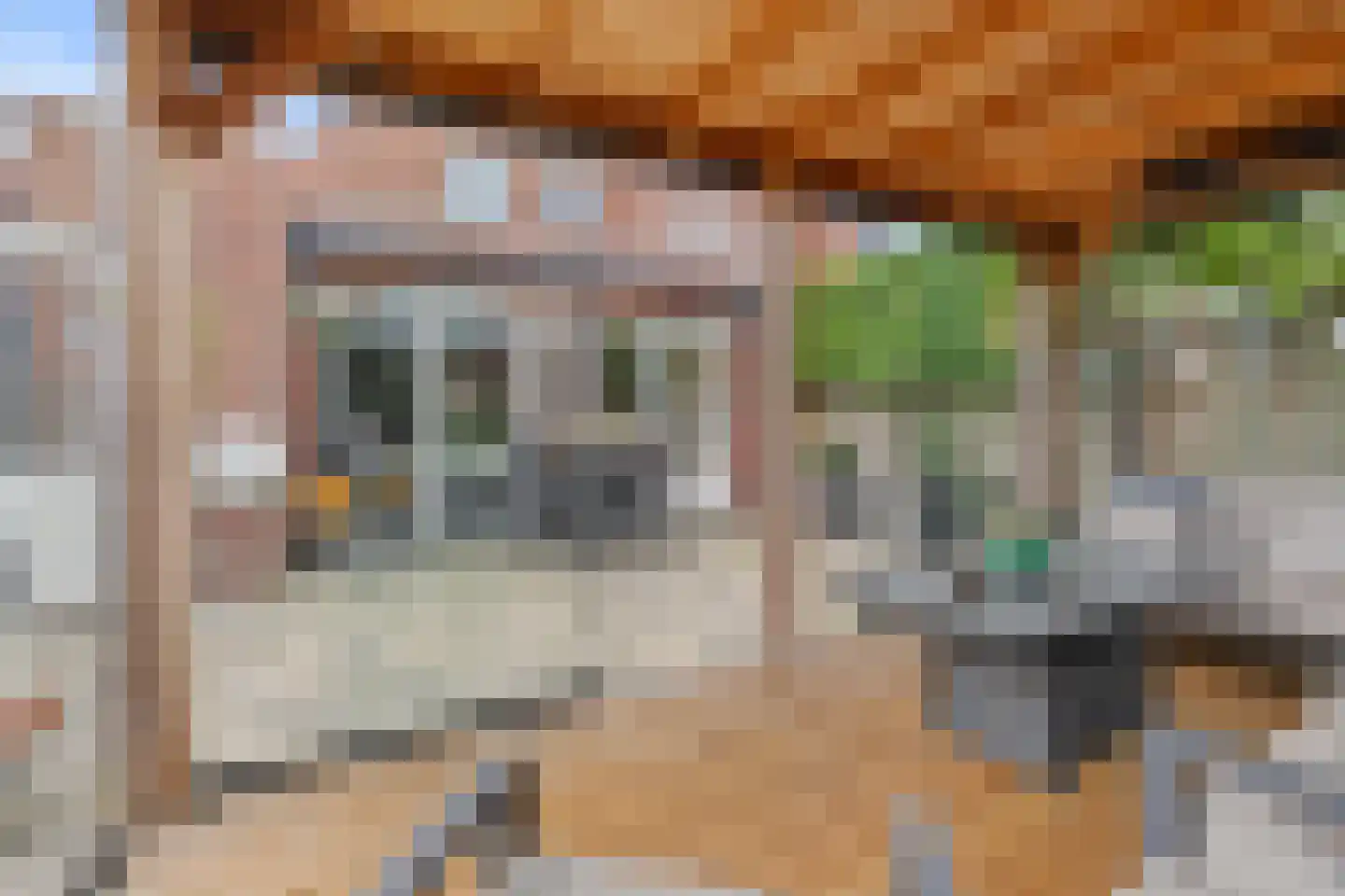 Haskelant 14 Zuid-Scharwoude thumbnail 38