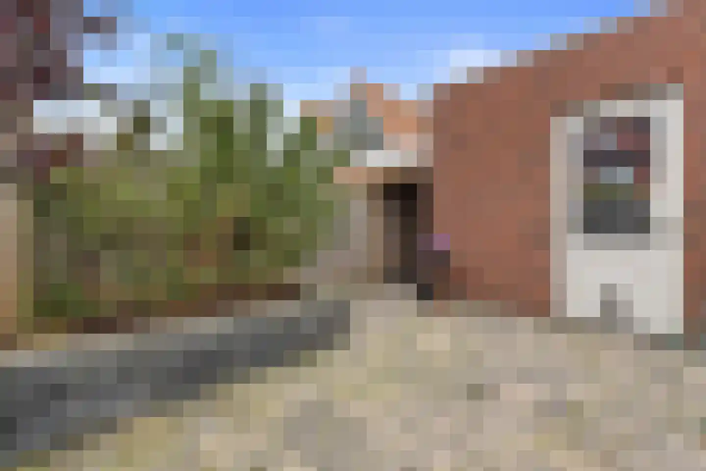 Haskelant 14 Zuid-Scharwoude thumbnail 39