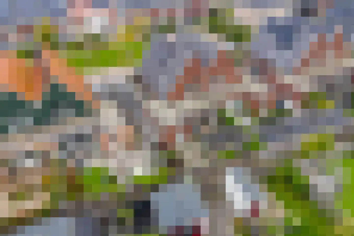 Haskelant 14 Zuid-Scharwoude thumbnail 43