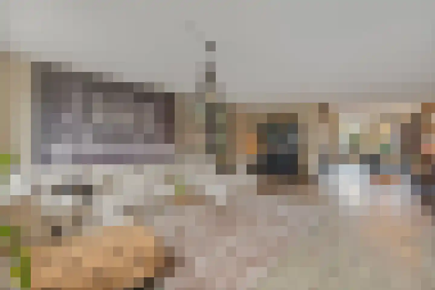 Haskelant 14 Zuid-Scharwoude thumbnail 6