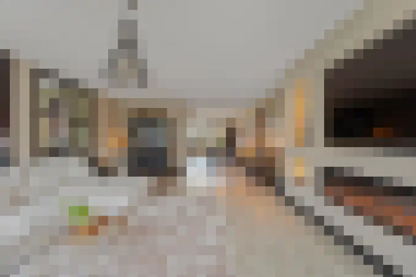 Haskelant 14 Zuid-Scharwoude thumbnail 7