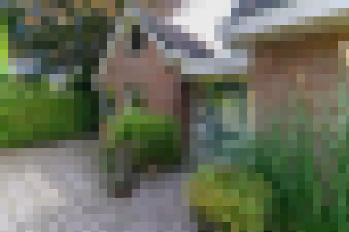 Hasker Utgongen 2 Oudehaske thumbnail 24