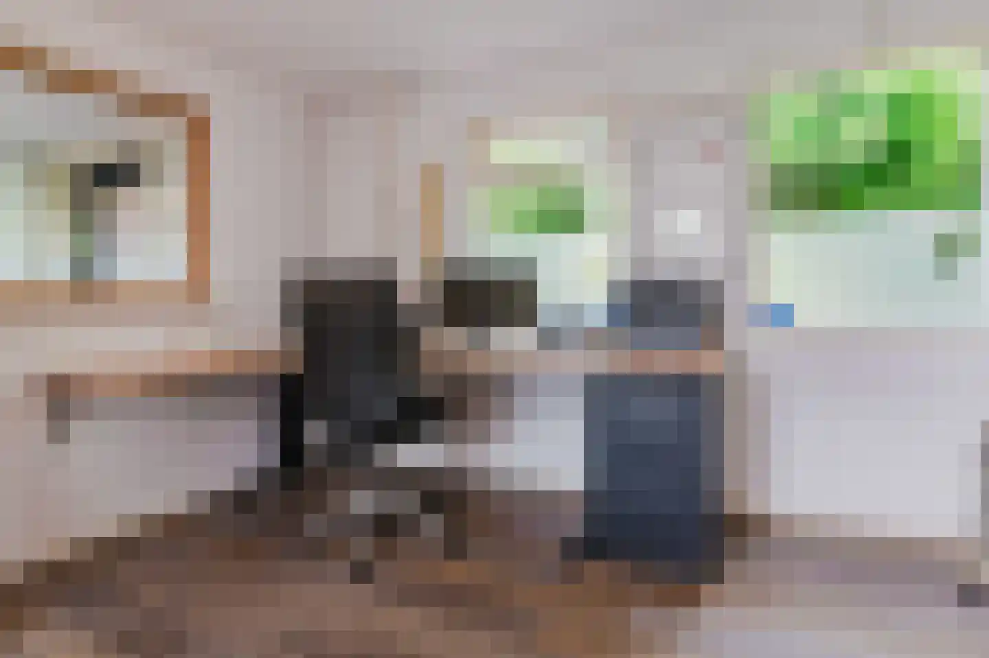 Hasker Utgongen 2 Oudehaske thumbnail 27