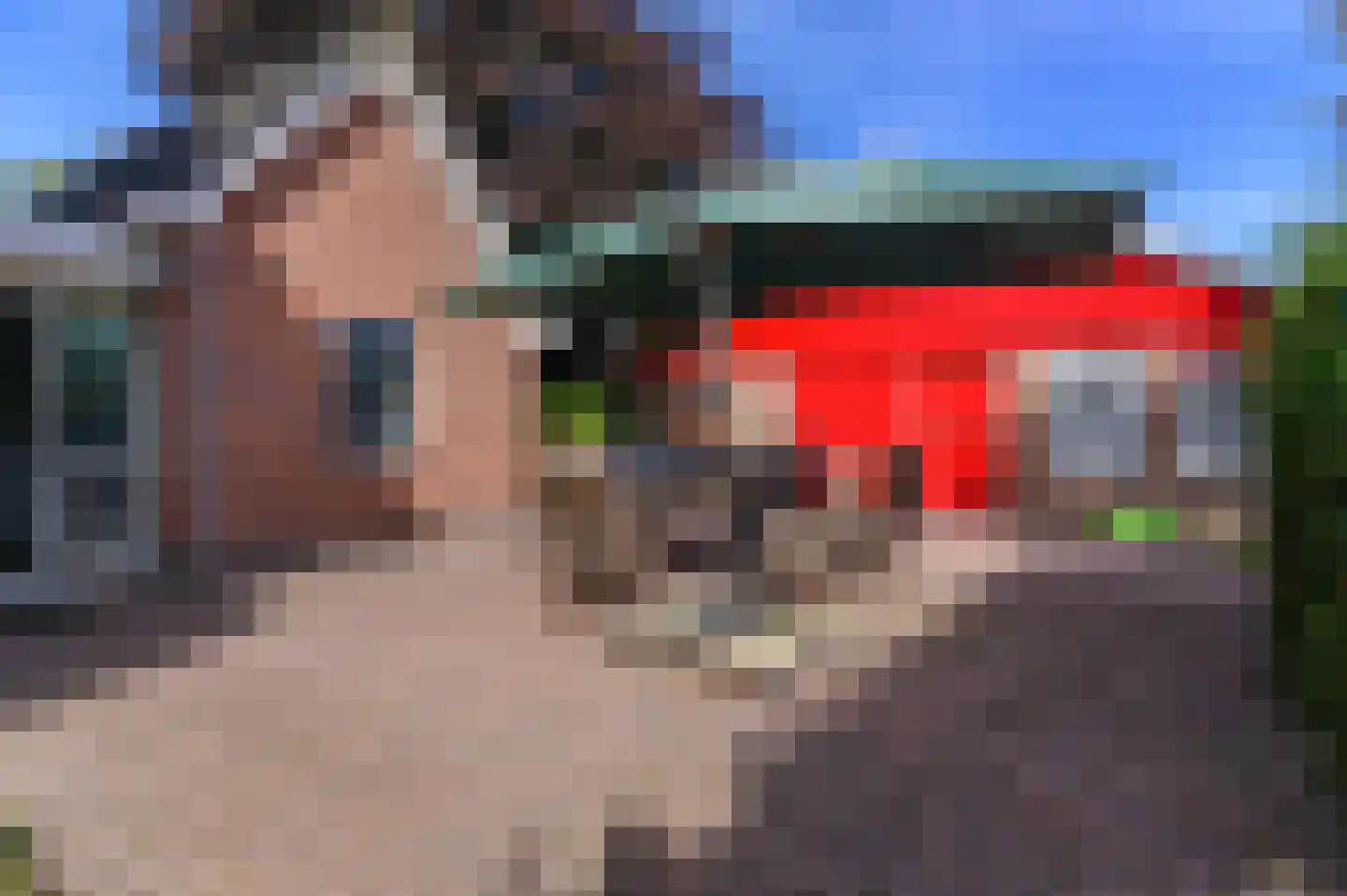 Hasker Utgongen 2 Oudehaske thumbnail 45