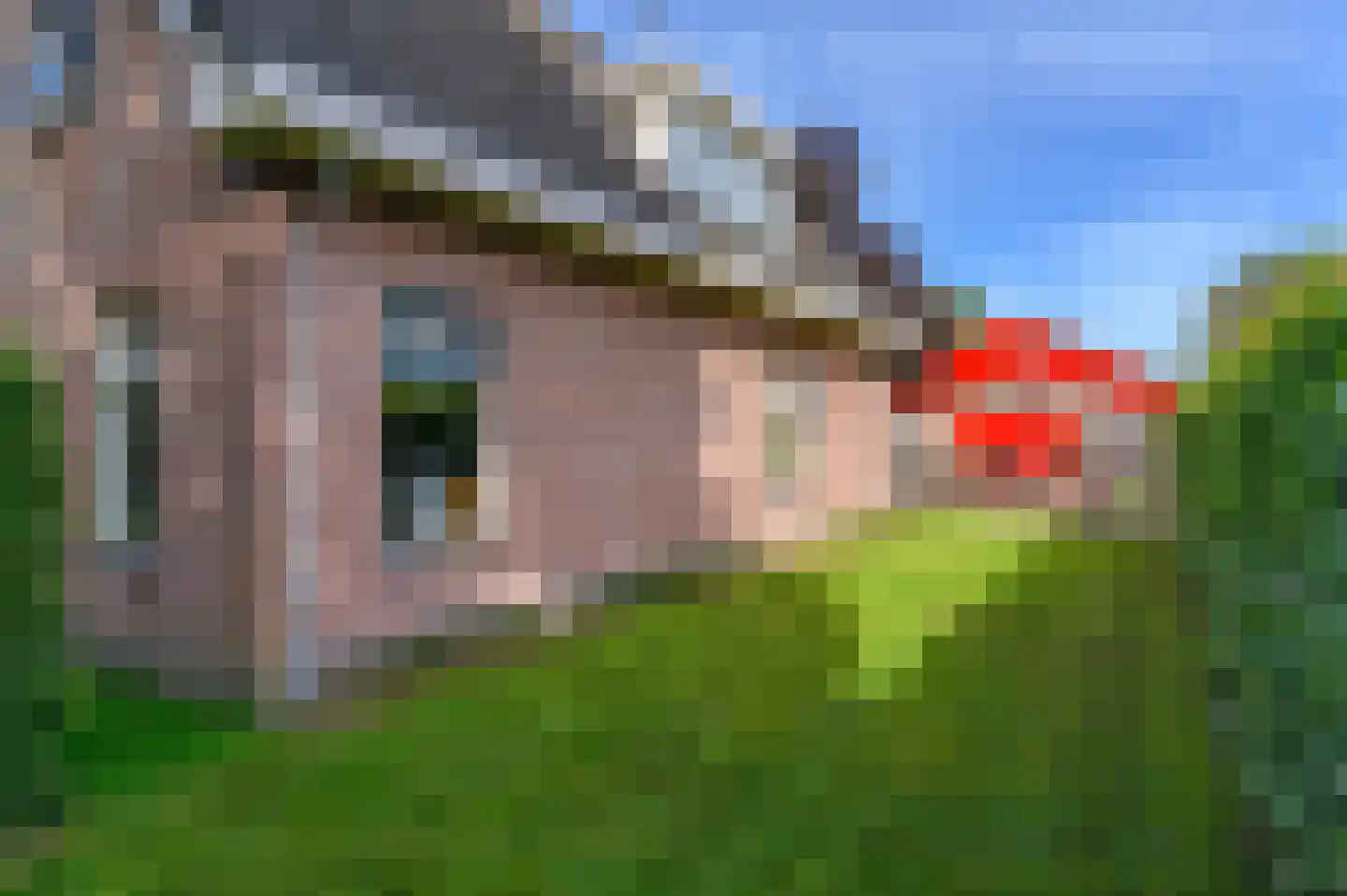Hasker Utgongen 2 Oudehaske thumbnail 49