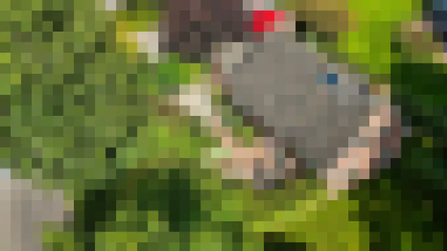 Hasker Utgongen 2 Oudehaske thumbnail 5