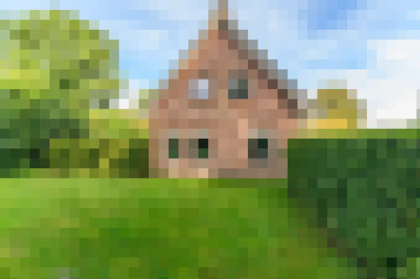 Hasker Utgongen 2 Oudehaske thumbnail 50