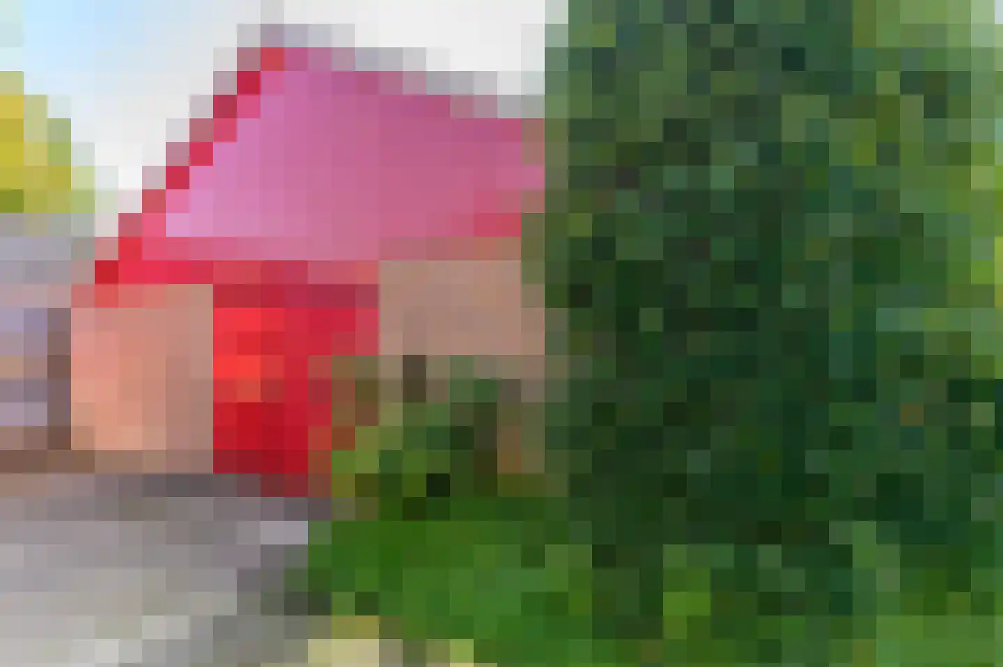 Hasker Utgongen 2 Oudehaske thumbnail 53