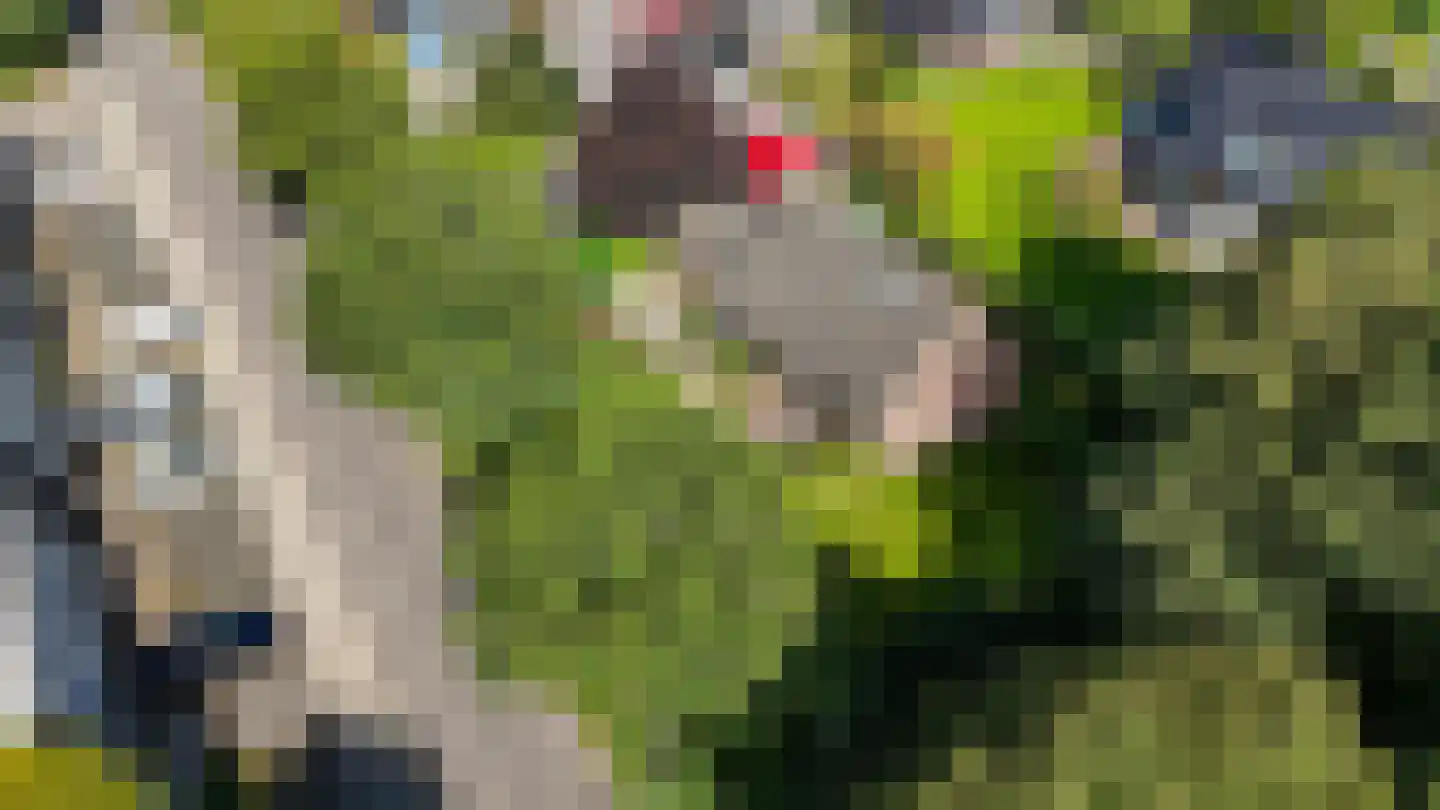 Hasker Utgongen 2 Oudehaske thumbnail 61