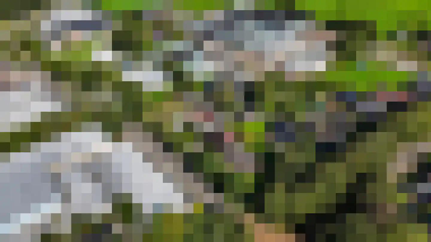 Hasker Utgongen 2 Oudehaske thumbnail 62