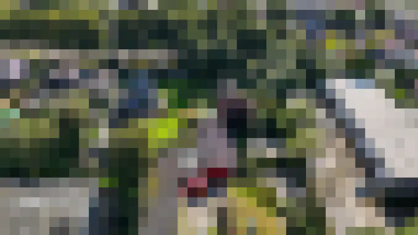 Hasker Utgongen 2 Oudehaske thumbnail 63