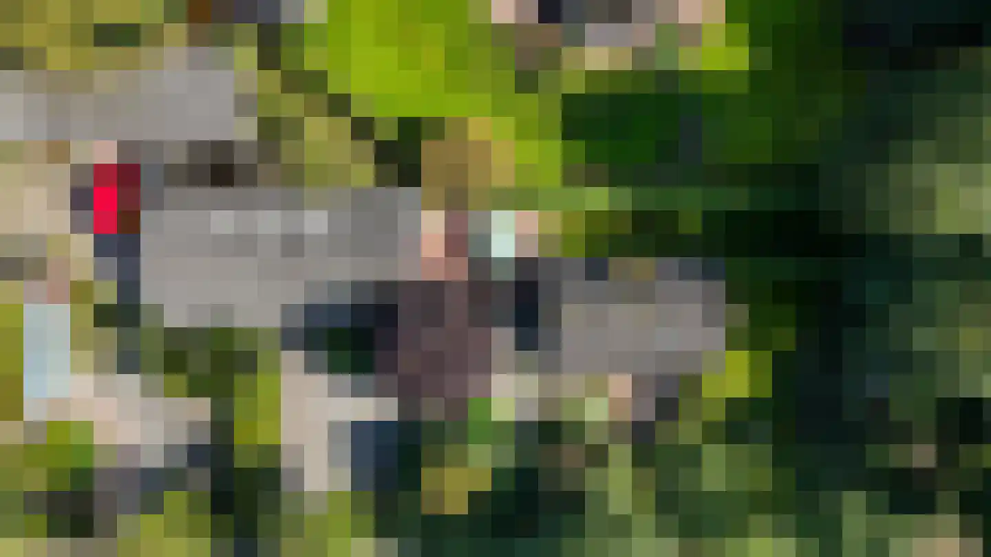 Hasker Utgongen 2 Oudehaske thumbnail 64