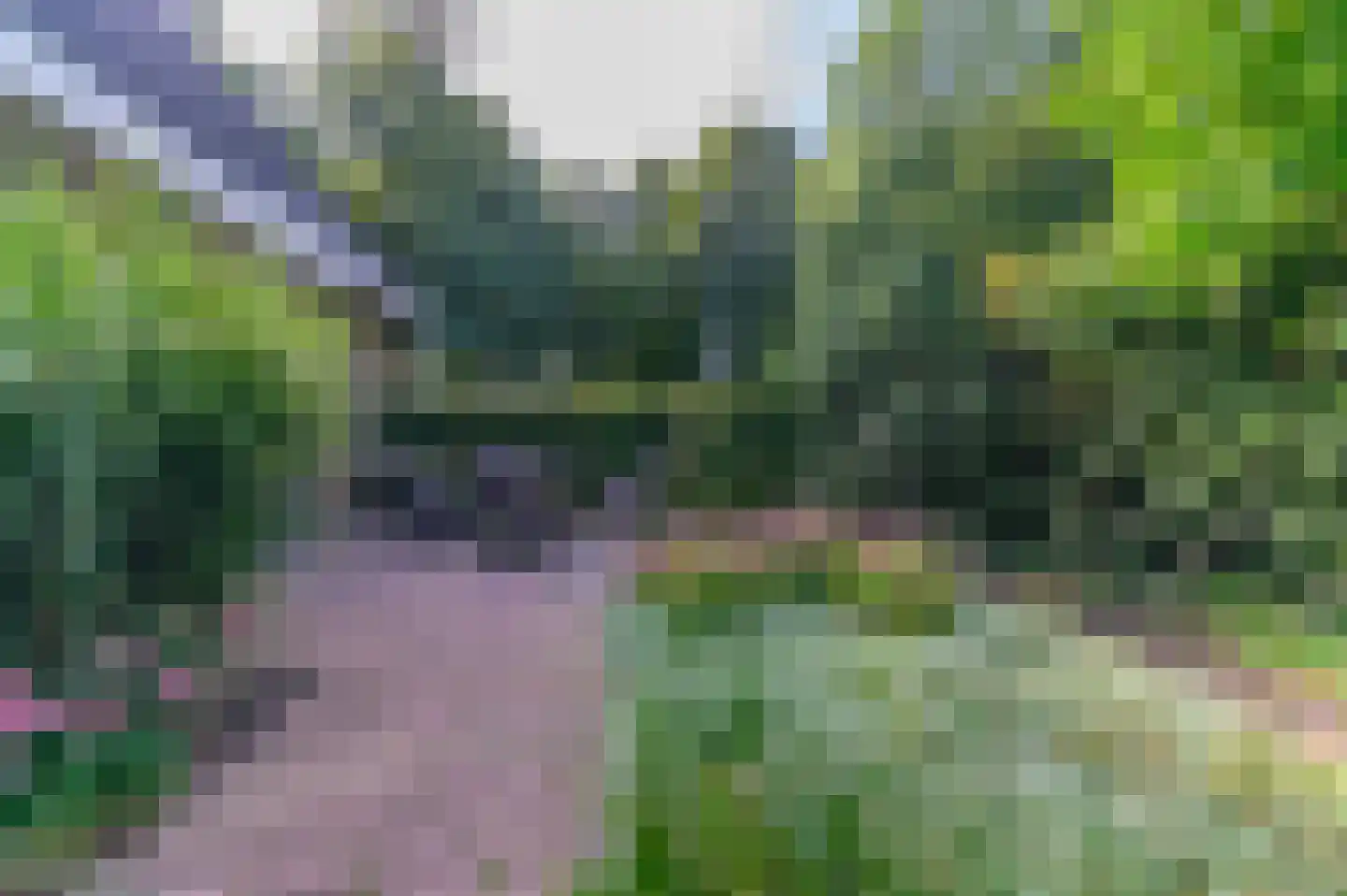 Hasker Utgongen 2 Oudehaske thumbnail 8